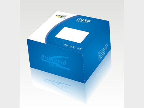 包裝盒、彩盒3